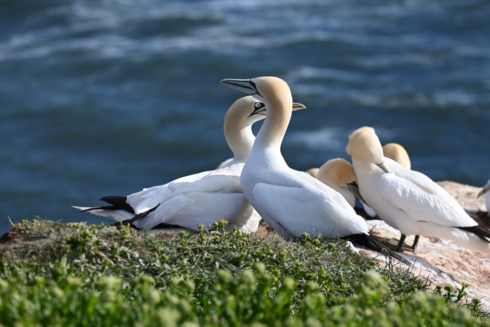 Wilhelmshaven – Mandal
